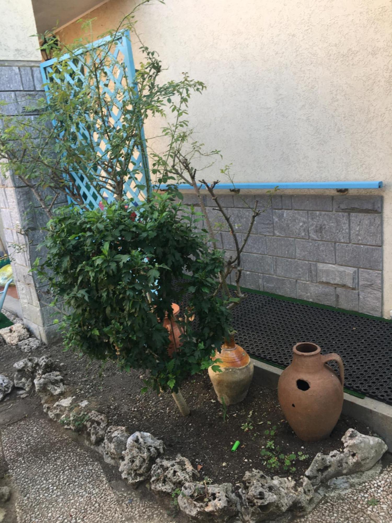 Lerosedimiamamma Apartamento Cassine Exterior foto